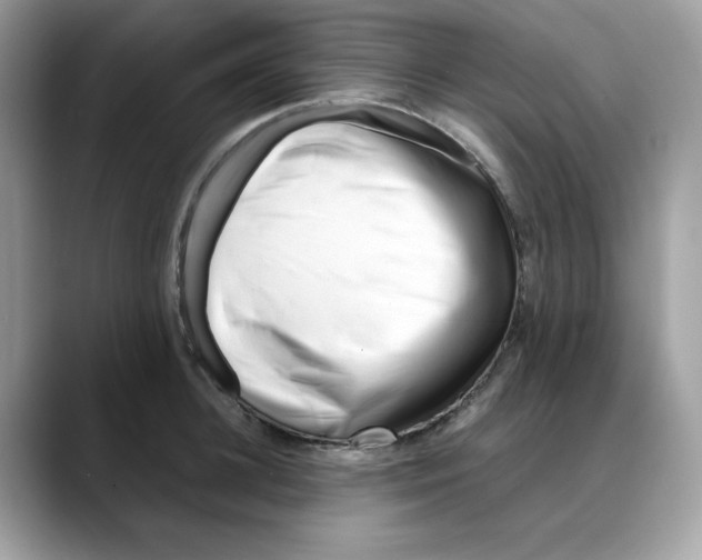 X0000088090948200706081747