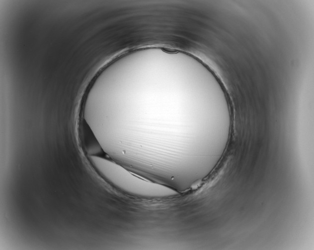 X0000088090949200706081747
