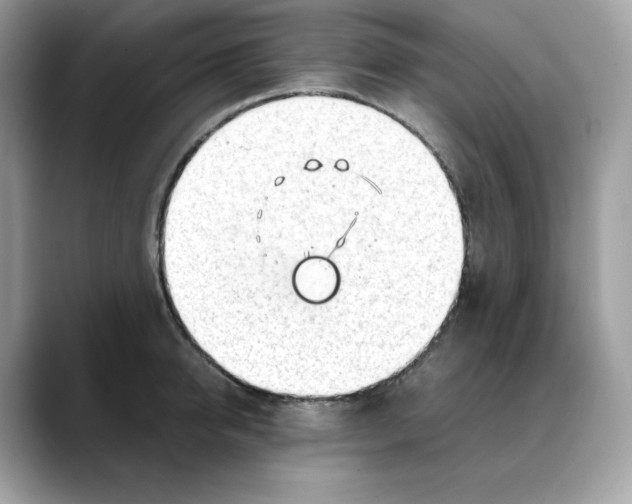 X0000088090950200706081747