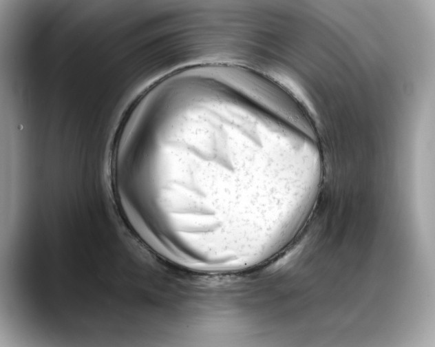 X0000088090952200706081747