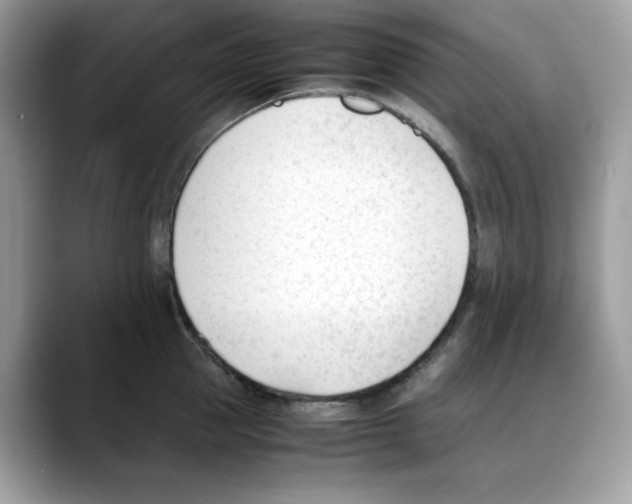 X0000088090953200706081747