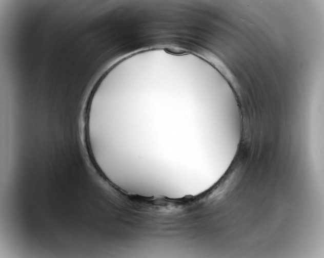 X0000088090955200706081747