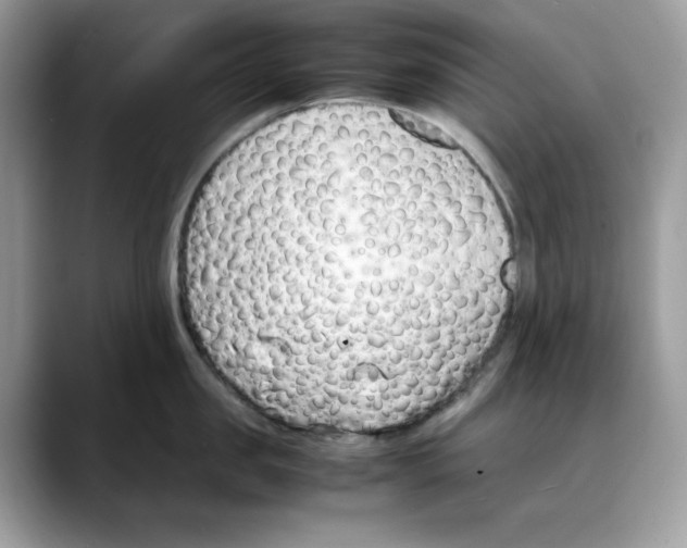 X0000088090957200706081747