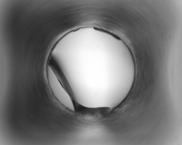 X0000088090960200706081747