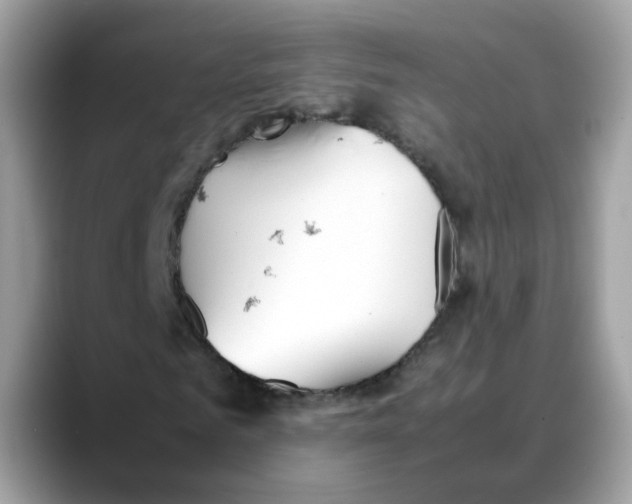 X0000088090961200706081747