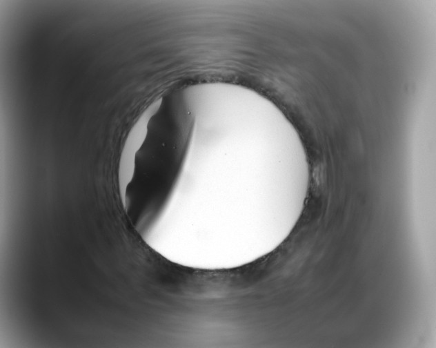 X0000088090963200706081747