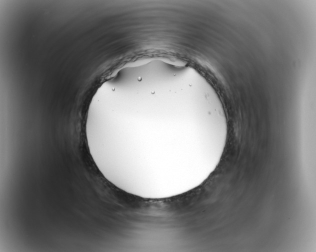 X0000088090968200706081747