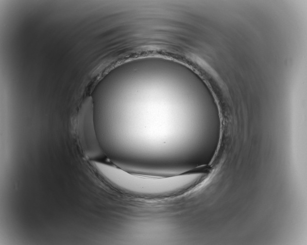 X0000088090969200706081747
