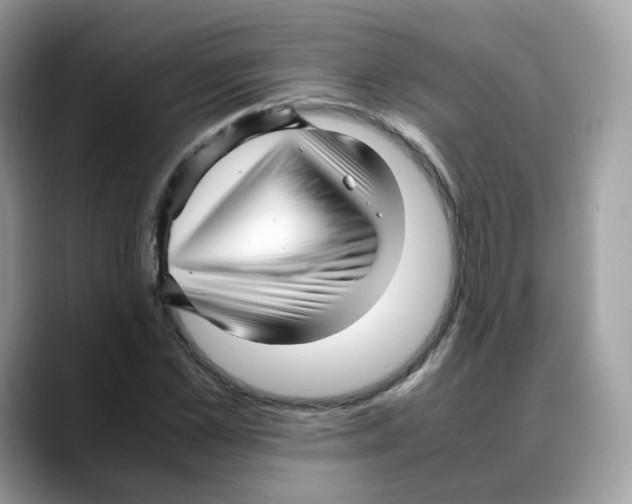 X0000088090973200706081747