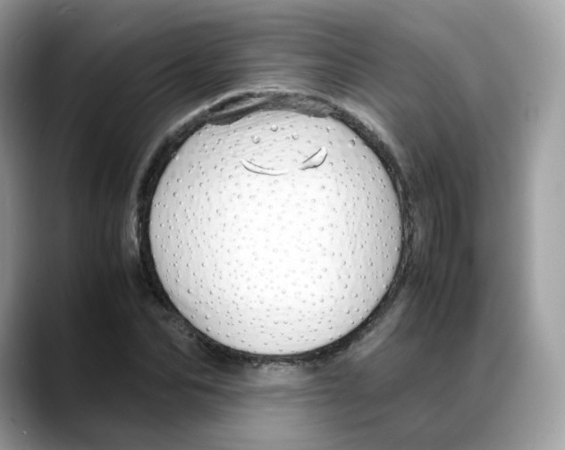 X0000088090974200706081747