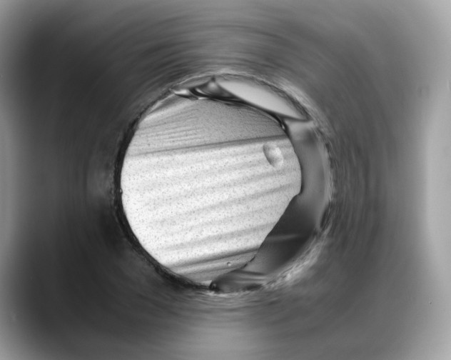 X0000088090977200706081747