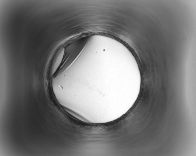 X0000088090979200706081746