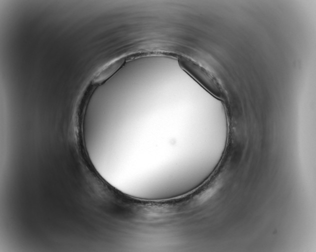 X0000088090981200706081746