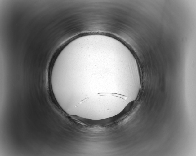 X0000088090982200706081746