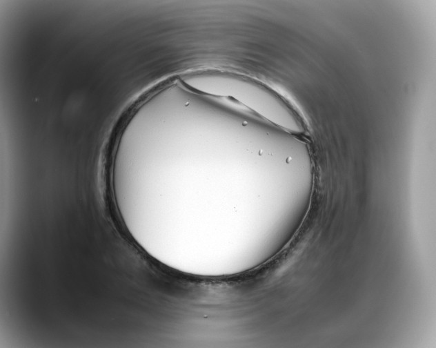 X0000088090983200706081746