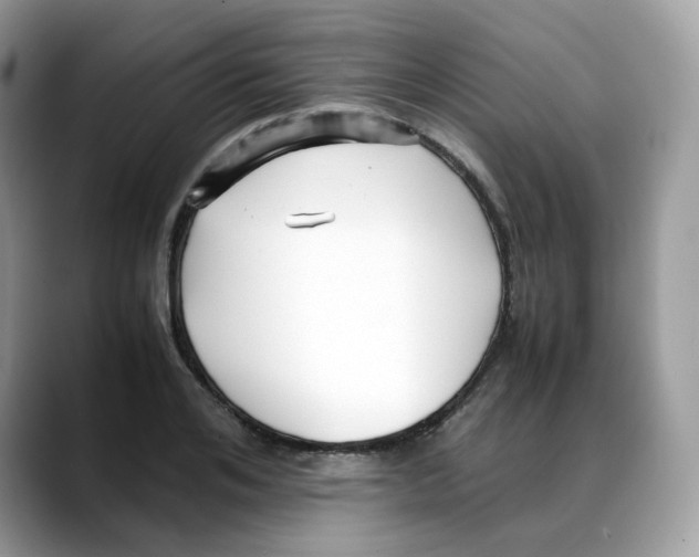 X0000088090984200706081746