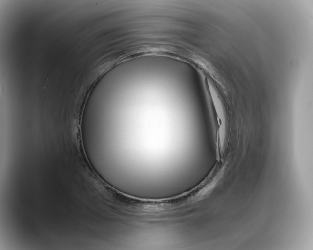 X0000088090985200706081746