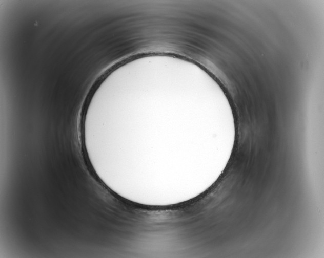X0000088090988200706081746