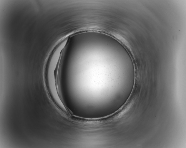 X0000088090989200706081746