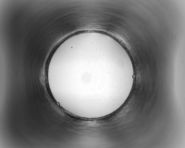 X0000088090990200706081746