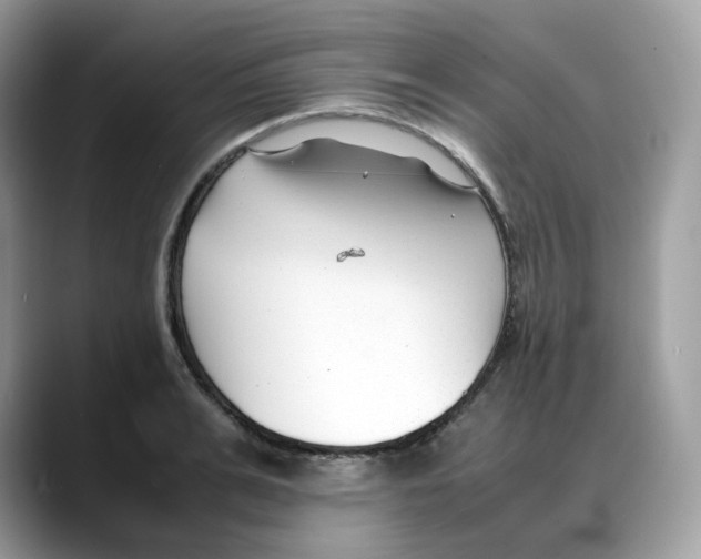 X0000088090991200706081746