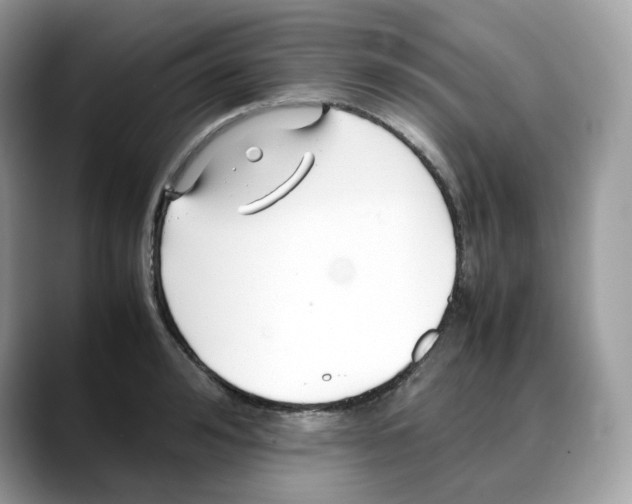 X0000088090992200706081746