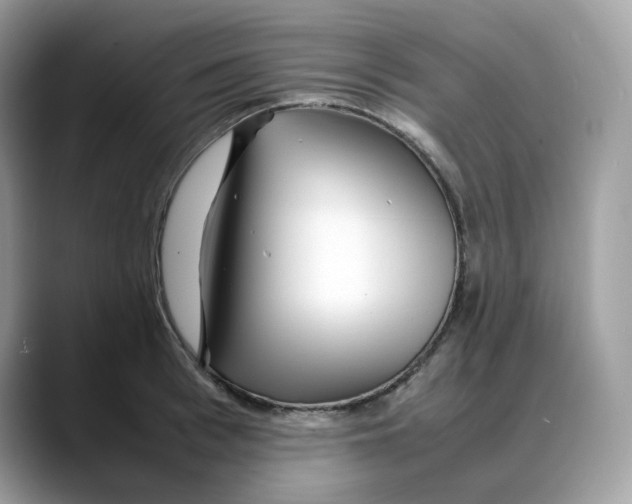 X0000088090993200706081746