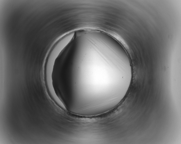 X0000088090996200706081746