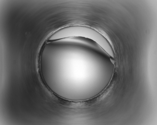 X0000088090997200706081746