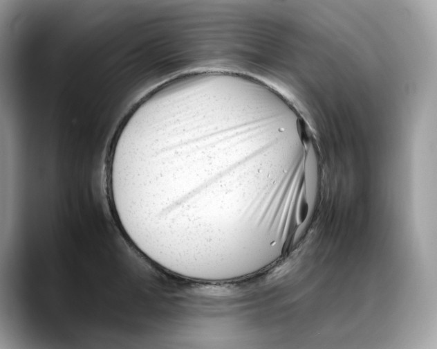 X0000088090998200706081746