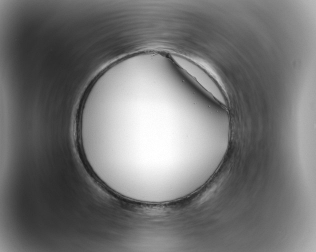 X0000088090999200706081746