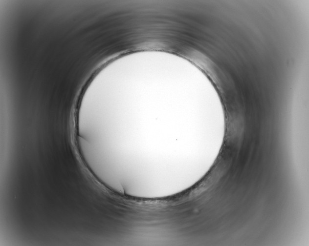 X0000088091000200706081746
