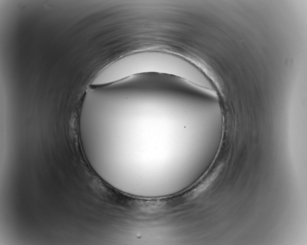 X0000088091001200706081746
