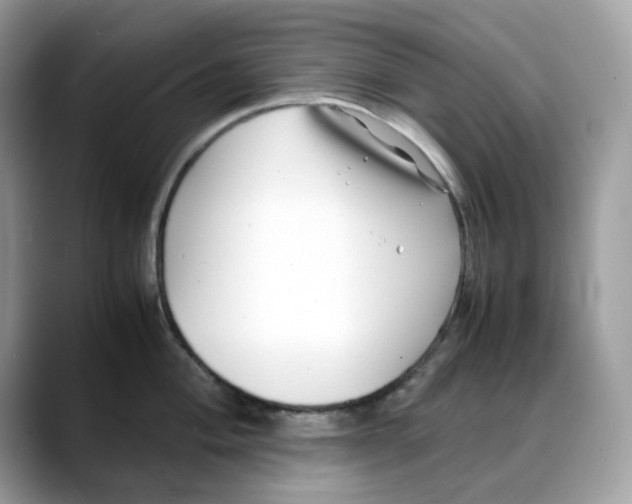 X0000088091004200706081746