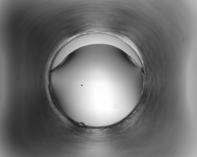 X0000088091005200706081746