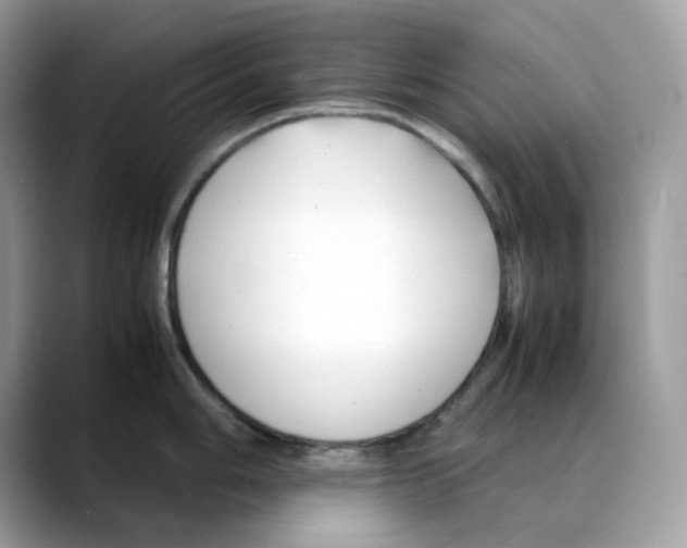 X0000088091006200706081746