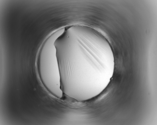 X0000088091007200706081746