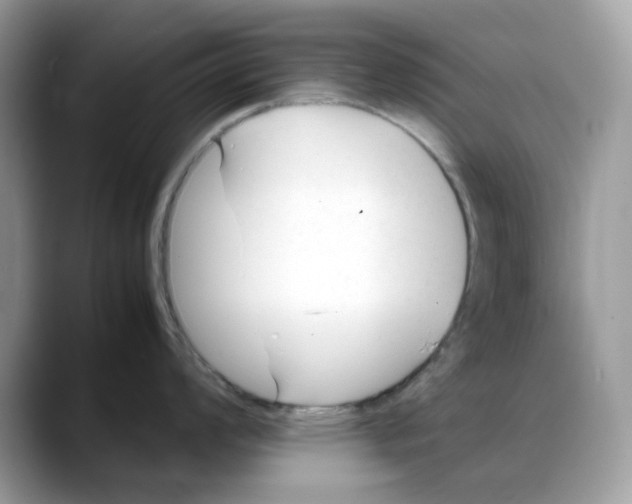 X0000088091008200706081746