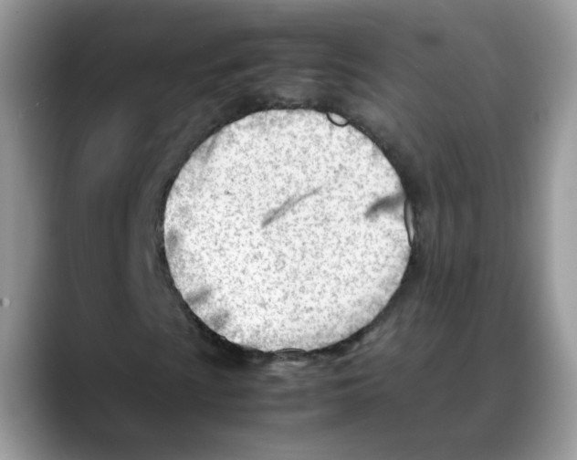 X0000088091009200706081745