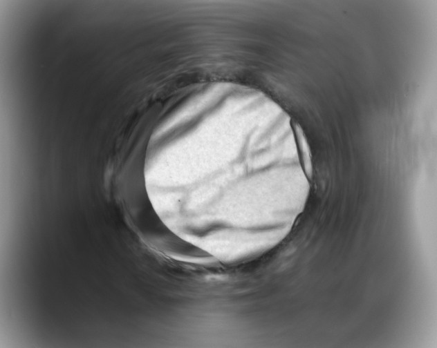 X0000088091010200706081745