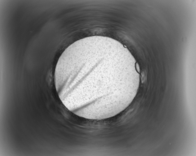 X0000088091011200706081746
