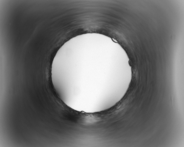 X0000088091012200706081746
