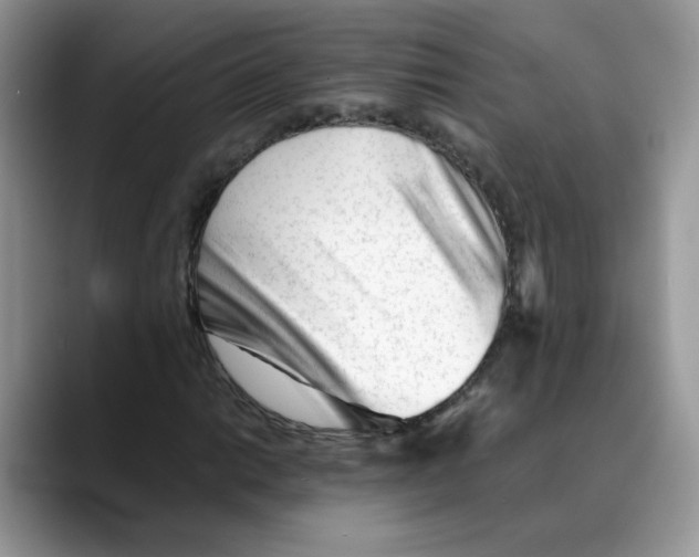 X0000088091014200706081746