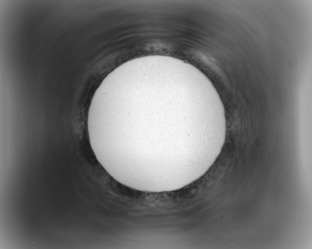 X0000088091015200706081746