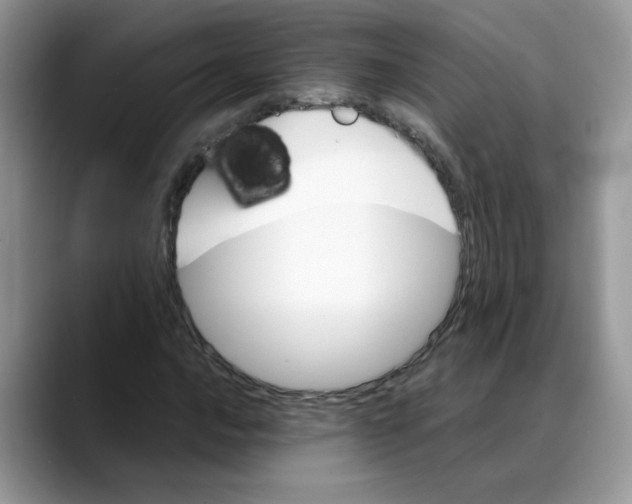 X0000088091016200706081746