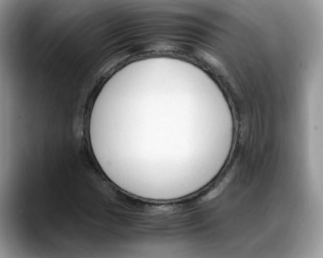 X0000088091017200706081746