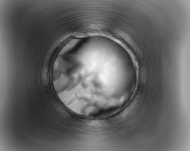 X0000088091018200706081746