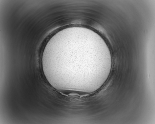 X0000088091019200706081746