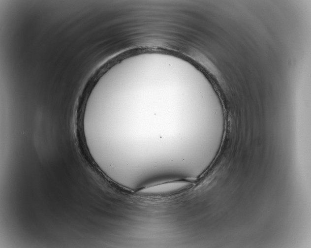 X0000088091020200706081746