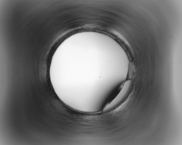 X0000088091021200706081746
